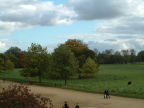 Christ Church Meadow