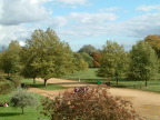 Christ Church Meadow