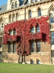 Meadow Quad, Christ Church