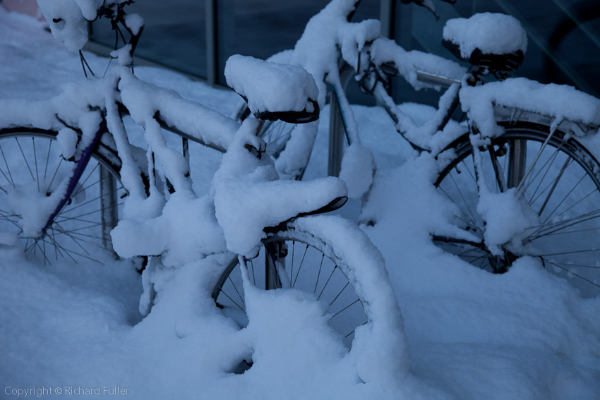 Bicycles at Goodricke