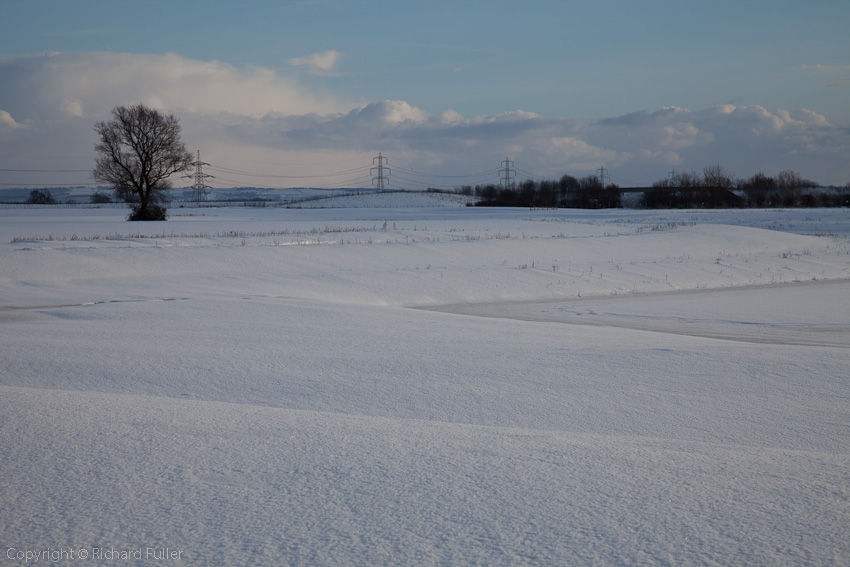 Snowy Scene