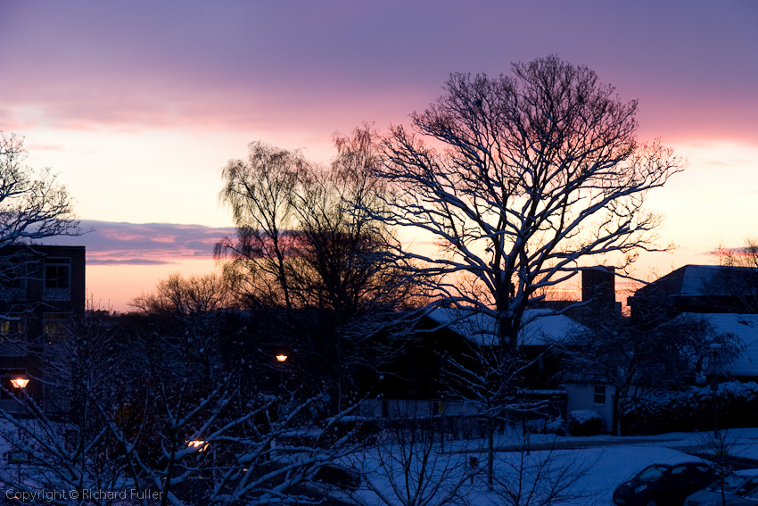 Snowy Sunset