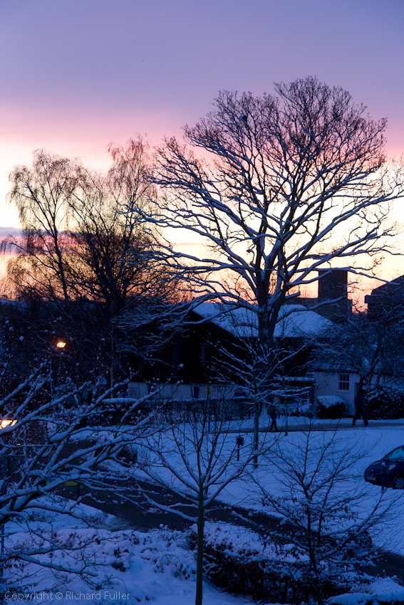 Snowy Sunset